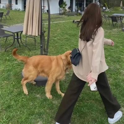 猛虎出笼